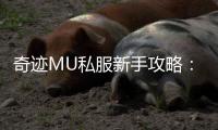 奇迹MU私服新手攻略：如何一步步往大佬发展